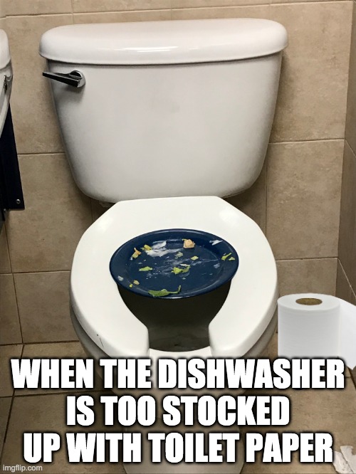 Too much TP meme | WHEN THE DISHWASHER IS TOO STOCKED UP WITH TOILET PAPER | image tagged in coronavirus meme | made w/ Imgflip meme maker