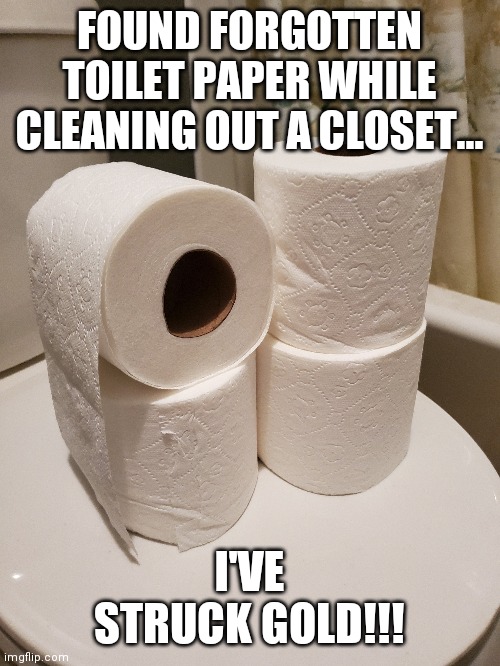 Closet Treasure | FOUND FORGOTTEN TOILET PAPER WHILE CLEANING OUT A CLOSET... I'VE STRUCK GOLD!!! | image tagged in toilet paper,gold,closet,treasure | made w/ Imgflip meme maker