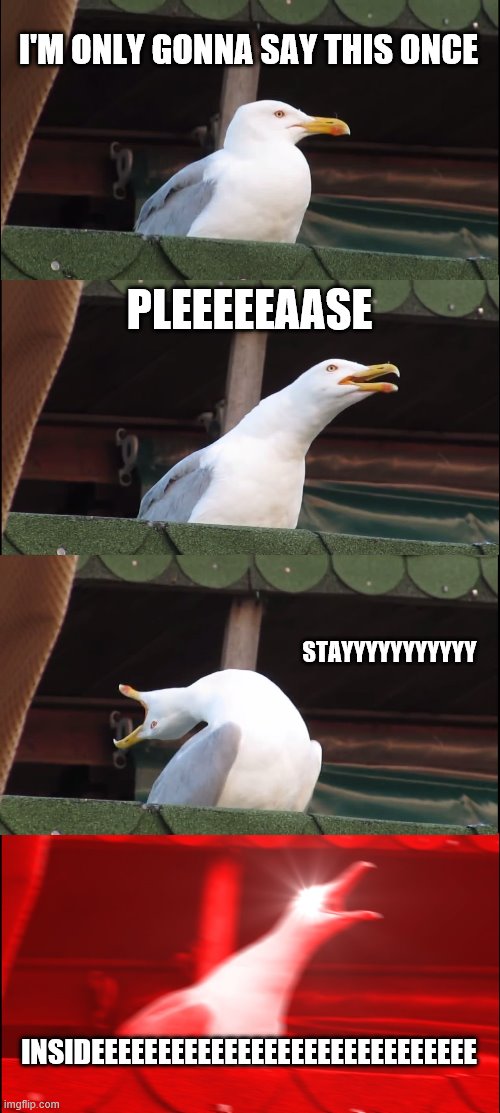 Inhaling Seagull Meme | I'M ONLY GONNA SAY THIS ONCE; PLEEEEEAASE; STAYYYYYYYYYYY; INSIDEEEEEEEEEEEEEEEEEEEEEEEEEEEEE | image tagged in memes,inhaling seagull | made w/ Imgflip meme maker