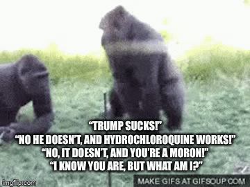 “TRUMP SUCKS!”
 “NO HE DOESN’T, AND HYDROCHLOROQUINE WORKS!” 

“NO, IT DOESN’T, AND YOU’RE A MORON!”

 “I KNOW YOU ARE, BUT WHAT AM I?” | image tagged in gifs | made w/ Imgflip video-to-gif maker