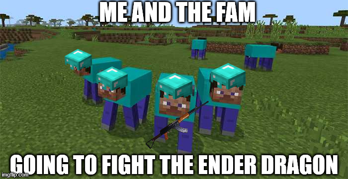 Me and the Fam Are ready | ME AND THE FAM; GOING TO FIGHT THE ENDER DRAGON | image tagged in me and the fam,minecraft | made w/ Imgflip meme maker