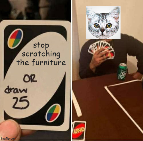 UNO Draw 25 Cards Meme | stop scratching the furniture | image tagged in memes,uno draw 25 cards | made w/ Imgflip meme maker