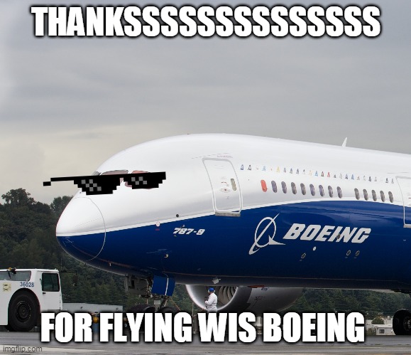 Flying with boeing. | THANKSSSSSSSSSSSSSS; FOR FLYING WIS BOEING | image tagged in funny meme | made w/ Imgflip meme maker