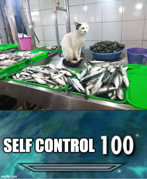 Level: Expert | SELF CONTROL | image tagged in skyrim 100 blank,level expert,self control | made w/ Imgflip meme maker