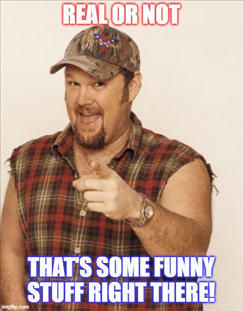 Larry The Cable Guy | REAL OR NOT THAT'S SOME FUNNY STUFF RIGHT THERE! | image tagged in larry the cable guy | made w/ Imgflip meme maker