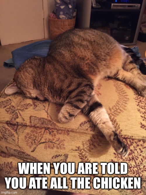 Hungry | WHEN YOU ARE TOLD YOU ATE ALL THE CHICKEN | image tagged in woman yelling at cat | made w/ Imgflip meme maker