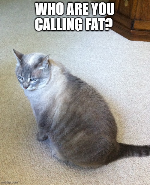 Quarantine binge eating | WHO ARE YOU CALLING FAT? | image tagged in funny memes | made w/ Imgflip meme maker