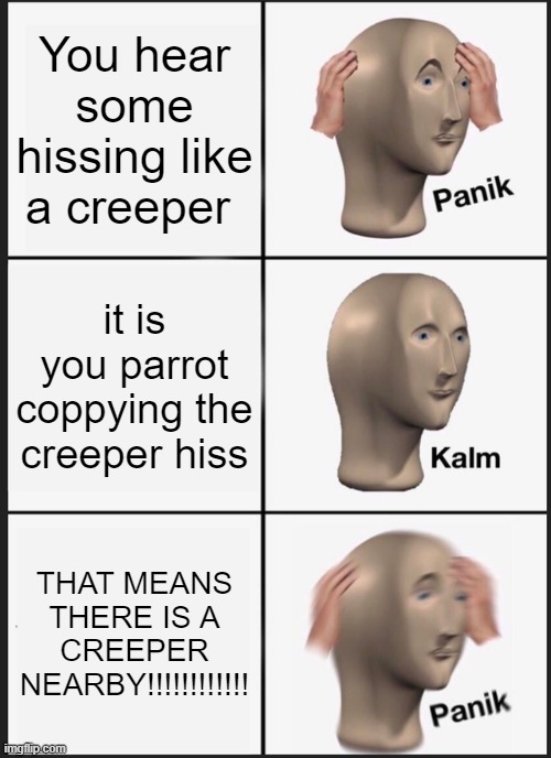 an adhiraj gagain meme | You hear some hissing like a creeper; it is you parrot coppying the creeper hiss; THAT MEANS THERE IS A CREEPER NEARBY!!!!!!!!!!!! | image tagged in memes,panik kalm panik | made w/ Imgflip meme maker