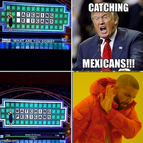 Illegals | image tagged in drake hotline bling | made w/ Imgflip meme maker