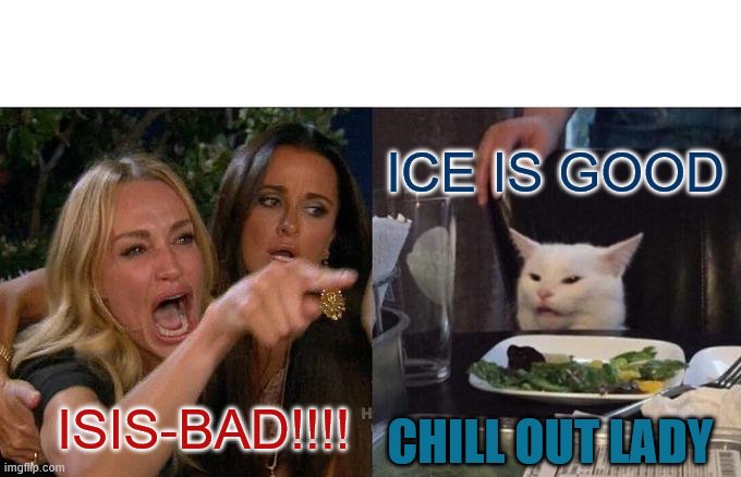 Woman Yelling At Cat | ICE IS GOOD; ISIS-BAD!!!! CHILL OUT LADY | image tagged in memes,woman yelling at cat | made w/ Imgflip meme maker