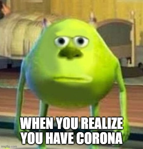 Monsters Inc Face Swap | WHEN YOU REALIZE YOU HAVE CORONA | image tagged in monsters inc face swap | made w/ Imgflip meme maker