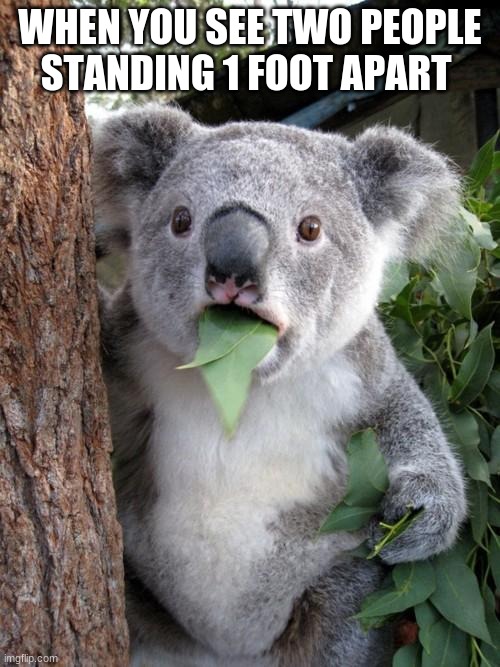 Surprised Koala | WHEN YOU SEE TWO PEOPLE STANDING 1 FOOT APART | image tagged in memes,surprised koala | made w/ Imgflip meme maker