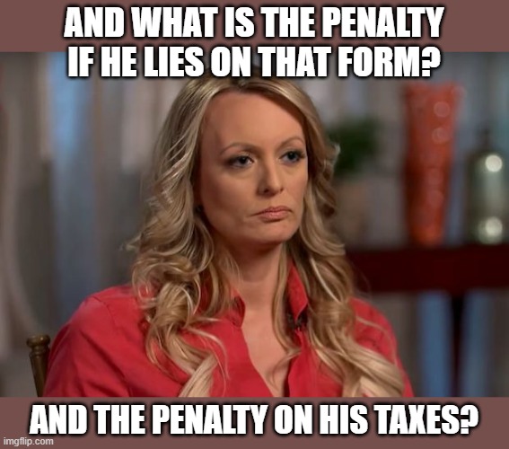 stormy daniels | AND WHAT IS THE PENALTY IF HE LIES ON THAT FORM? AND THE PENALTY ON HIS TAXES? | image tagged in stormy daniels | made w/ Imgflip meme maker