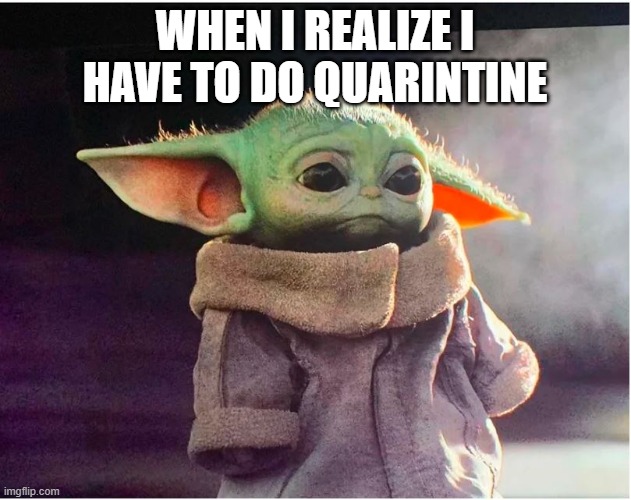Sad Baby Yoda | WHEN I REALIZE I HAVE TO DO QUARINTINE | image tagged in sad baby yoda | made w/ Imgflip meme maker