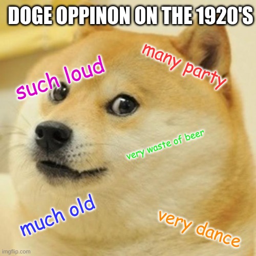 Doge Meme | DOGE OPPINON ON THE 1920'S; many party; such loud; very waste of beer; much old; very dance | image tagged in memes,doge | made w/ Imgflip meme maker