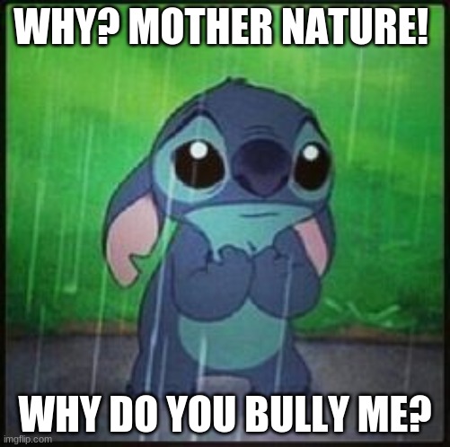 Stitch in the rain | WHY? MOTHER NATURE! WHY DO YOU BULLY ME? | image tagged in stitch in the rain | made w/ Imgflip meme maker