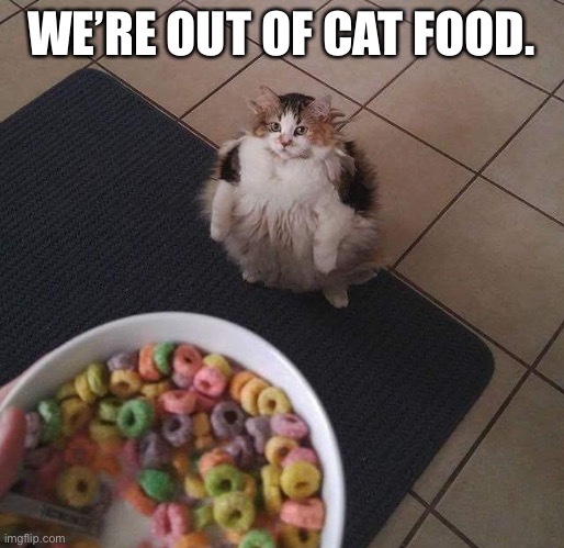 Loops Brother | WE’RE OUT OF CAT FOOD. | image tagged in loops brother | made w/ Imgflip meme maker