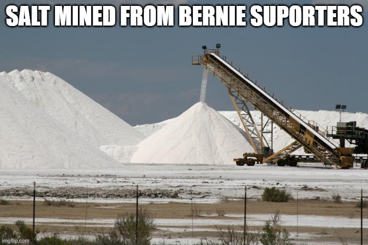 Salt mine (from marlimillerphoto) | SALT MINED FROM BERNIE SUPORTERS | image tagged in salt mine from marlimillerphoto | made w/ Imgflip meme maker