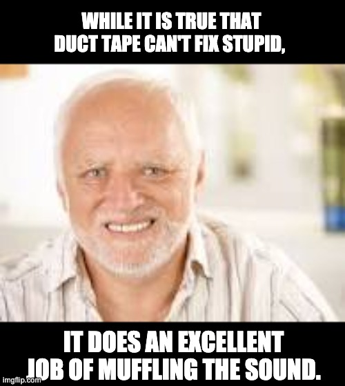 Hidden Pain Harold | WHILE IT IS TRUE THAT DUCT TAPE CAN'T FIX STUPID, IT DOES AN EXCELLENT JOB OF MUFFLING THE SOUND. | image tagged in hidden pain harold | made w/ Imgflip meme maker