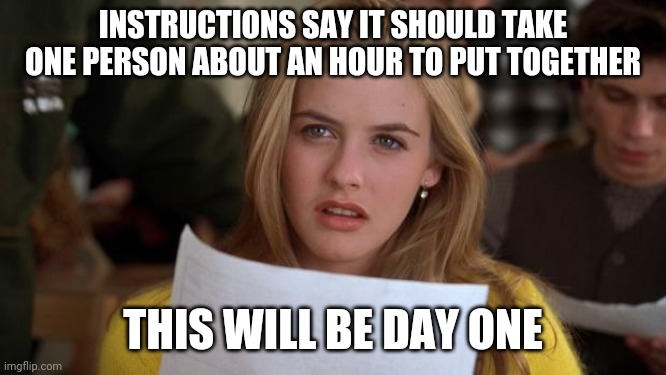 Clueless | INSTRUCTIONS SAY IT SHOULD TAKE ONE PERSON ABOUT AN HOUR TO PUT TOGETHER; THIS WILL BE DAY ONE | image tagged in clueless | made w/ Imgflip meme maker