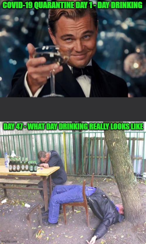 Quarantine Day Drinking | COVID-19 QUARANTINE DAY 1 - DAY DRINKING; DAY 47 - WHAT DAY DRINKING REALLY LOOKS LIKE | image tagged in memes,leonardo dicaprio cheers,drunk russian | made w/ Imgflip meme maker