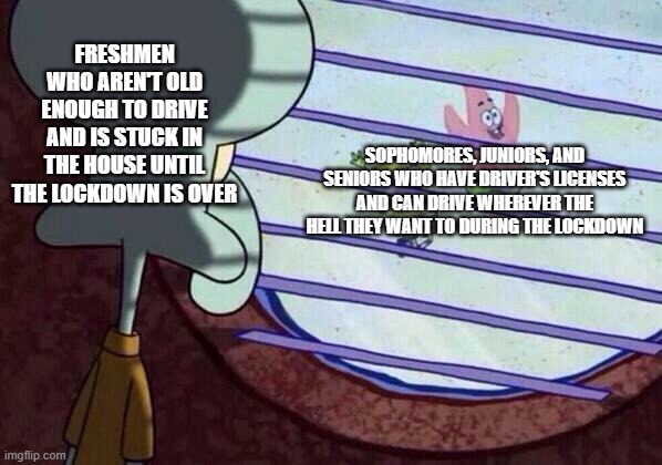 High school freshmen in spring 2020 | FRESHMEN WHO AREN'T OLD ENOUGH TO DRIVE AND IS STUCK IN THE HOUSE UNTIL THE LOCKDOWN IS OVER; SOPHOMORES, JUNIORS, AND SENIORS WHO HAVE DRIVER'S LICENSES AND CAN DRIVE WHEREVER THE HELL THEY WANT TO DURING THE LOCKDOWN | image tagged in squidward window,high school,freshmen,relatable,2020,coronavirus | made w/ Imgflip meme maker