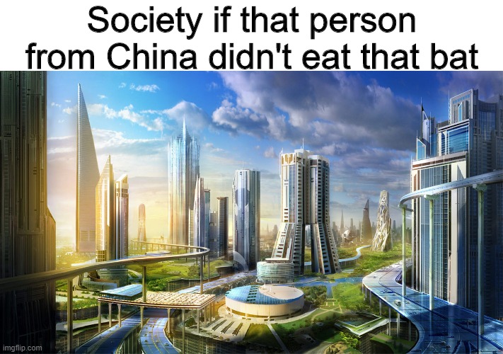 If only | Society if that person from China didn't eat that bat | image tagged in futuristic city,memes,funny,china,coronavirus | made w/ Imgflip meme maker