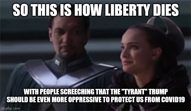 People are discussing what the "new normal" will be after this, which of course includes more restrictions (less freedoms) | SO THIS IS HOW LIBERTY DIES; WITH PEOPLE SCREECHING THAT THE "TYRANT" TRUMP SHOULD BE EVEN MORE OPPRESSIVE TO PROTECT US FROM COVID19 | image tagged in star wars so this is how liberty dies,memes | made w/ Imgflip meme maker