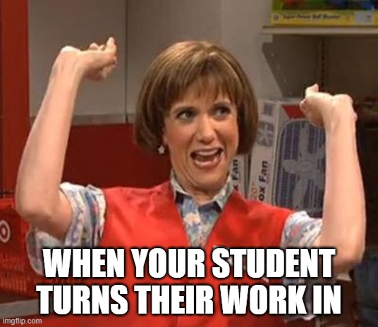 Target Lady | WHEN YOUR STUDENT TURNS THEIR WORK IN | image tagged in target lady | made w/ Imgflip meme maker