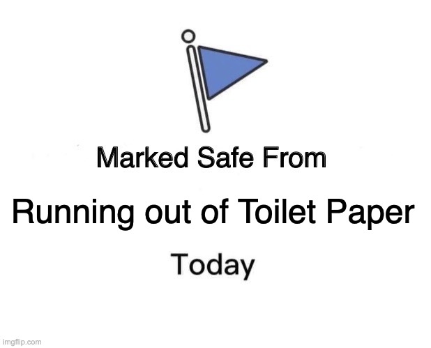 Marked Safe From Meme | Running out of Toilet Paper | image tagged in memes,marked safe from | made w/ Imgflip meme maker