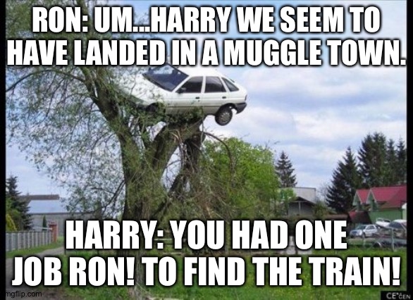 Secure Parking Meme | RON: UM...HARRY WE SEEM TO HAVE LANDED IN A MUGGLE TOWN. HARRY: YOU HAD ONE JOB RON! TO FIND THE TRAIN! | image tagged in memes,secure parking | made w/ Imgflip meme maker