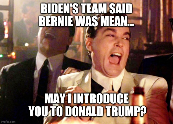 Good Fellas Hilarious | BIDEN'S TEAM SAID BERNIE WAS MEAN... MAY I INTRODUCE  YOU TO DONALD TRUMP? | image tagged in memes,good fellas hilarious | made w/ Imgflip meme maker
