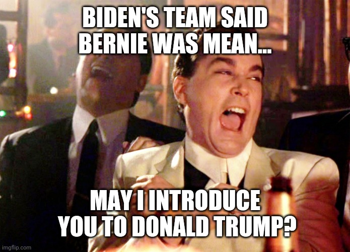 Good Fellas Hilarious Meme | BIDEN'S TEAM SAID BERNIE WAS MEAN... MAY I INTRODUCE  YOU TO DONALD TRUMP? | image tagged in memes,good fellas hilarious | made w/ Imgflip meme maker