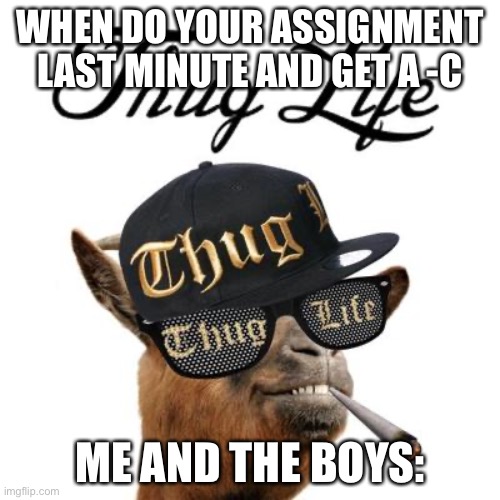 #thegoodolddays | WHEN DO YOUR ASSIGNMENT LAST MINUTE AND GET A -C; ME AND THE BOYS: | image tagged in memes,fun | made w/ Imgflip meme maker