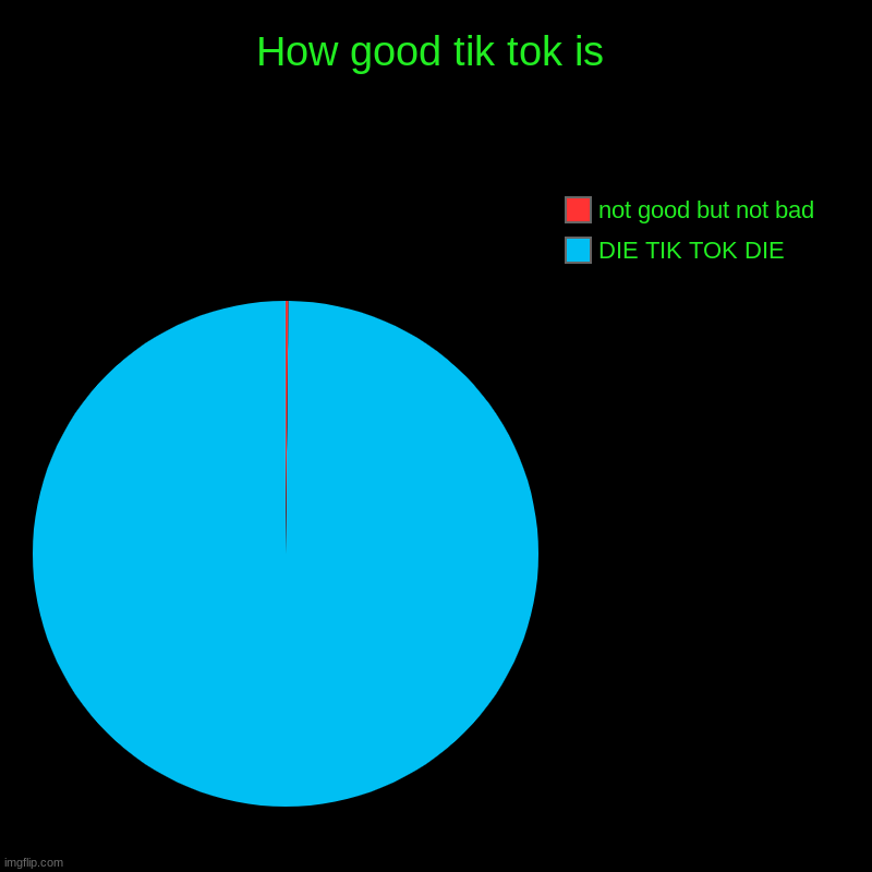 How good tik tok is | DIE TIK TOK DIE, not good but not bad | image tagged in charts,pie charts | made w/ Imgflip chart maker