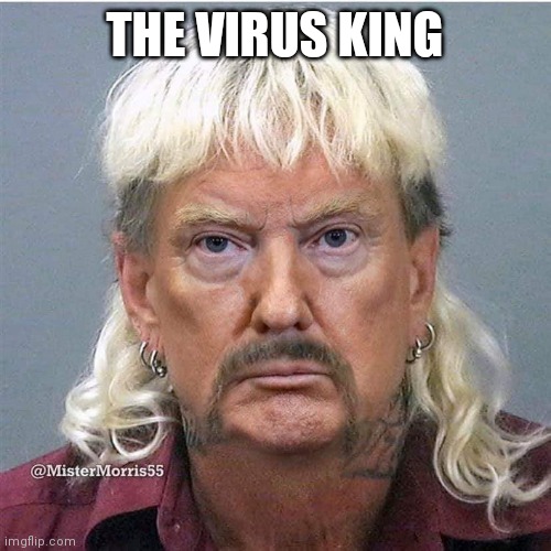 Virus King | THE VIRUS KING | image tagged in donald trump,covid-19,joe exotic,tiger king | made w/ Imgflip meme maker