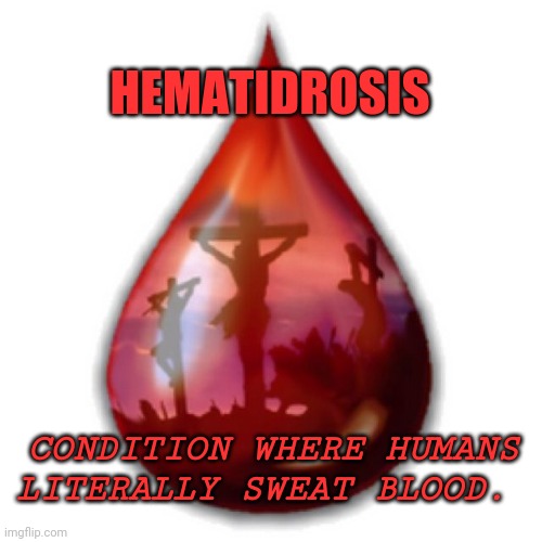 HEMATIDROSIS; CONDITION WHERE HUMANS LITERALLY SWEAT BLOOD. | image tagged in jesus,jesus christ | made w/ Imgflip meme maker