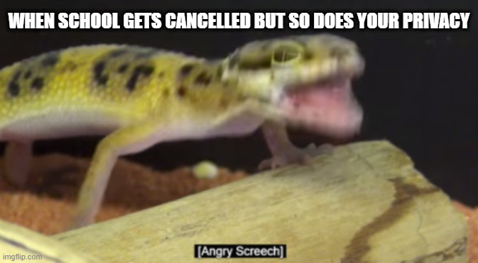 Angry screeching | WHEN SCHOOL GETS CANCELLED BUT SO DOES YOUR PRIVACY | image tagged in angry,screech | made w/ Imgflip meme maker