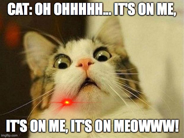 Scared Cat | CAT: OH OHHHHH... IT'S ON ME, IT'S ON ME, IT'S ON MEOWWW! | image tagged in memes,scared cat | made w/ Imgflip meme maker