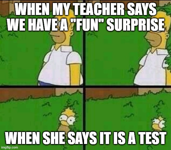 Homer Simpson Nope | WHEN MY TEACHER SAYS WE HAVE A "FUN" SURPRISE; WHEN SHE SAYS IT IS A TEST | image tagged in homer simpson nope | made w/ Imgflip meme maker