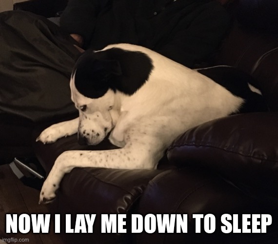 Lola | NOW I LAY ME DOWN TO SLEEP | image tagged in lola | made w/ Imgflip meme maker