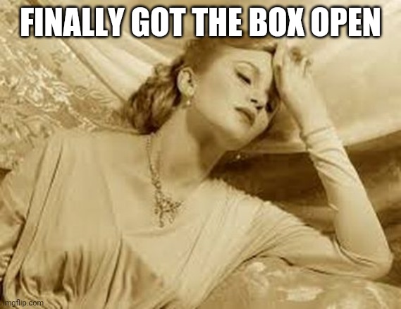 Over Dramatic Faint | FINALLY GOT THE BOX OPEN | image tagged in over dramatic faint | made w/ Imgflip meme maker