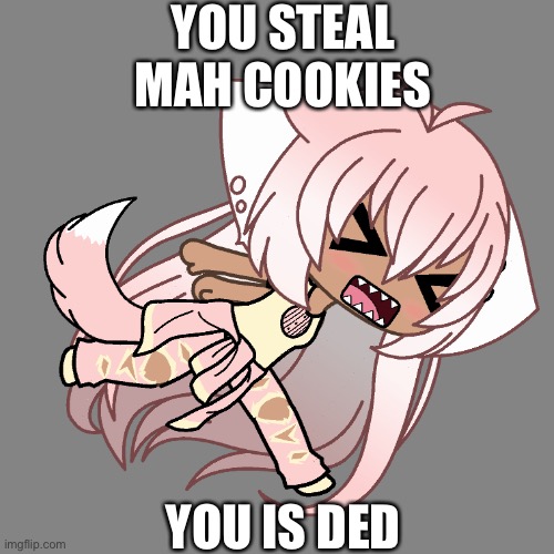 Don’t steal cookies | YOU STEAL MAH COOKIES; YOU IS DED | image tagged in yeet baby | made w/ Imgflip meme maker