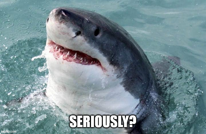 SERIOUSLY? | image tagged in seriously,shark | made w/ Imgflip meme maker