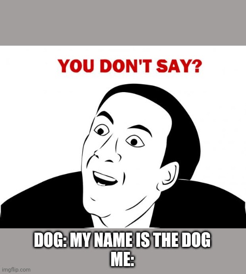 You Don't Say Meme | DOG: MY NAME IS THE DOG
ME: | image tagged in memes,you don't say | made w/ Imgflip meme maker