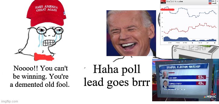 Haha money printer go brrr | Haha poll lead goes brrr; Noooo!! You can't be winning. You're a demented old fool. | image tagged in haha money printer go brrr | made w/ Imgflip meme maker