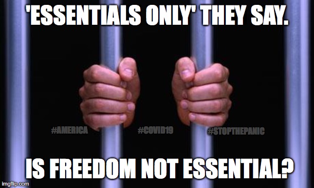 'Is Freedom Not Essential?' | 'ESSENTIALS ONLY' THEY SAY. #COVID19; #AMERICA; #STOPTHEPANIC; IS FREEDOM NOT ESSENTIAL? | image tagged in prison bars,memes,america,covid-19,freedom,stopthepanic | made w/ Imgflip meme maker