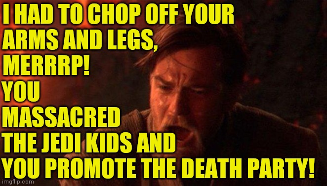 You Were The Chosen One (Star Wars) Meme | I HAD TO CHOP OFF YOUR
ARMS AND LEGS,
MERRRP! YOU
MASSACRED
THE JEDI KIDS AND
YOU PROMOTE THE DEATH PARTY! | image tagged in memes,you were the chosen one star wars | made w/ Imgflip meme maker