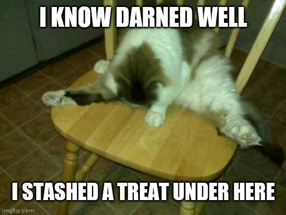 Matt Miller | I KNOW DARNED WELL; I STASHED A TREAT UNDER HERE | image tagged in matt miller | made w/ Imgflip meme maker
