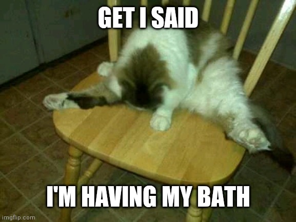 Matt Miller | GET I SAID; I'M HAVING MY BATH | image tagged in matt miller | made w/ Imgflip meme maker